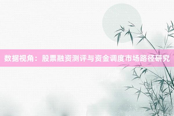 数据视角：股票融资测评与资金调度市场路径研究