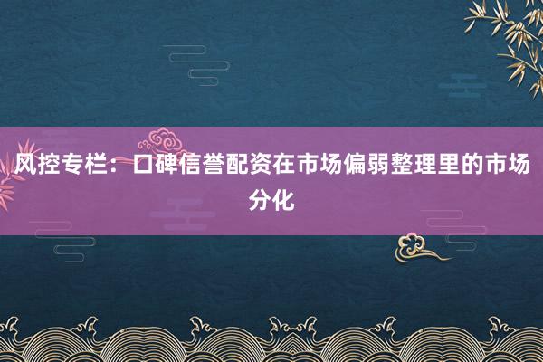 风控专栏：口碑信誉配资在市场偏弱整理里的市场分化