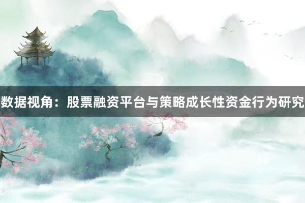 数据视角：股票融资平台与策略成长性资金行为研究