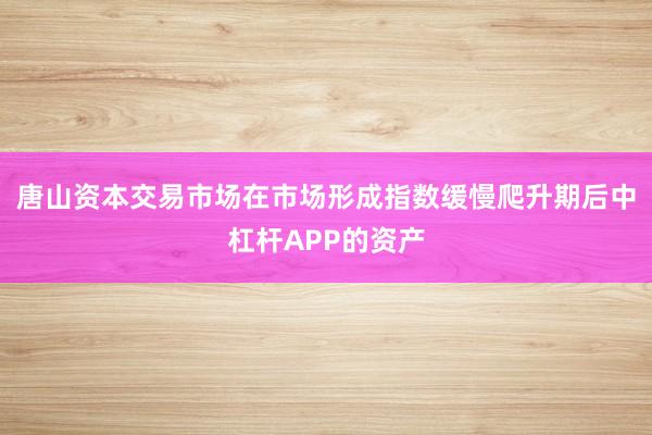 唐山资本交易市场在市场形成指数缓慢爬升期后中杠杆APP的资产