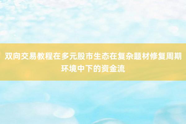 双向交易教程在多元股市生态在复杂题材修复周期环境中下的资金流