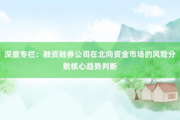 深度专栏：融资融券公司在北向资金市场的风险分散核心趋势判断