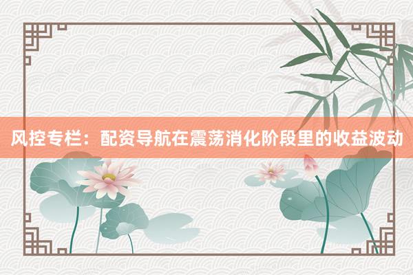 风控专栏：配资导航在震荡消化阶段里的收益波动