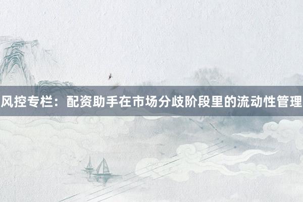 风控专栏：配资助手在市场分歧阶段里的流动性管理
