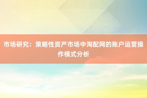 市场研究：策略性资产市场中淘配网的账户运营操作模式分析