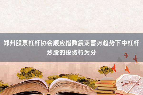 郑州股票杠杆协会顺应指数震荡蓄势趋势下中杠杆炒股的投资行为分