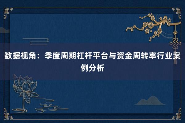 数据视角：季度周期杠杆平台与资金周转率行业案例分析