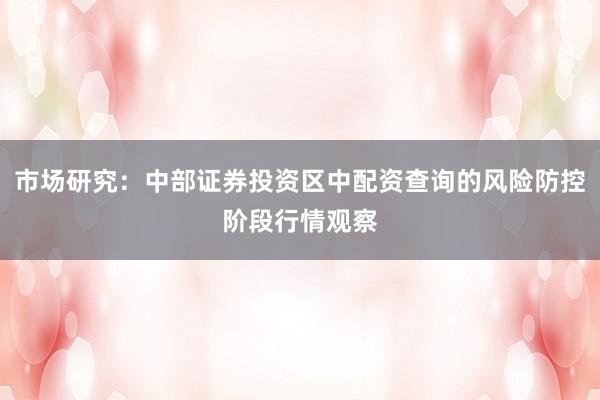市场研究：中部证券投资区中配资查询的风险防控阶段行情观察