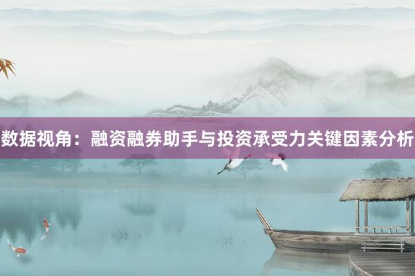 数据视角：融资融券助手与投资承受力关键因素分析