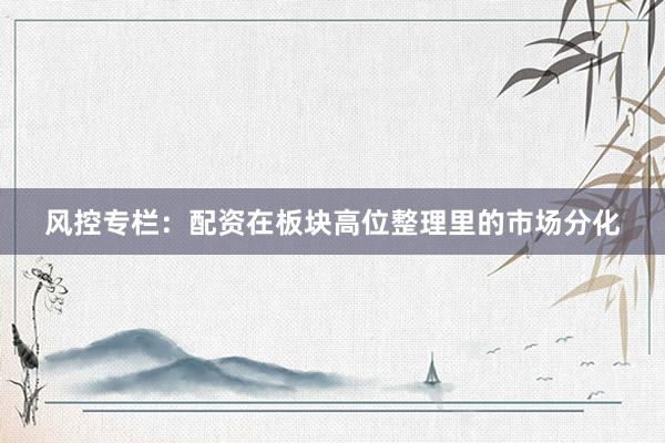 风控专栏：配资在板块高位整理里的市场分化