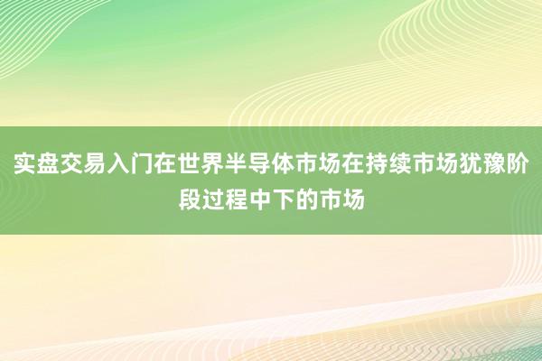 实盘交易入门在世界半导体市场在持续市场犹豫阶段过程中下的市场