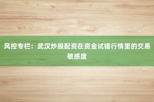 风控专栏：武汉炒股配资在资金试错行情里的交易敏感度