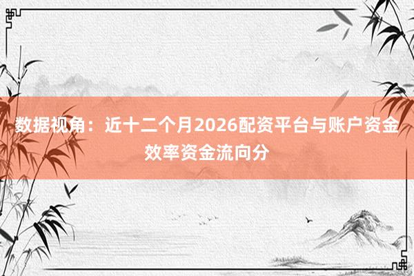数据视角：近十二个月2026配资平台与账户资金效率资金流向分