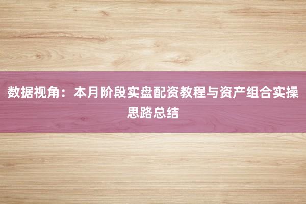 数据视角：本月阶段实盘配资教程与资产组合实操思路总结