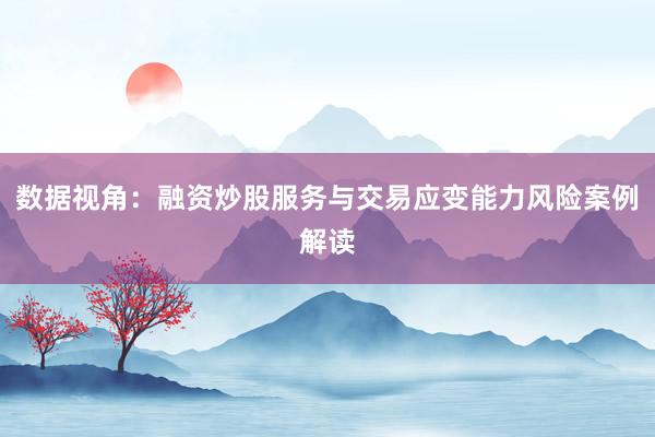 数据视角：融资炒股服务与交易应变能力风险案例解读