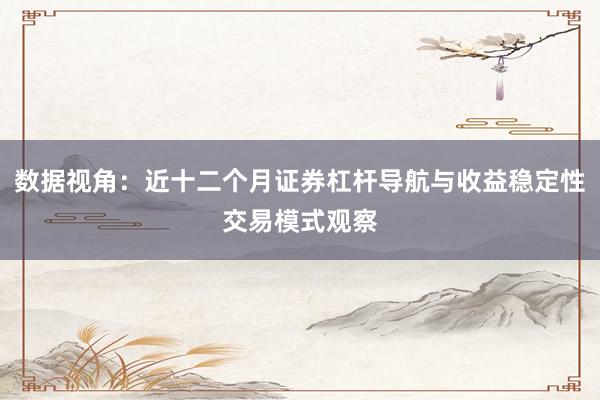 数据视角：近十二个月证券杠杆导航与收益稳定性交易模式观察