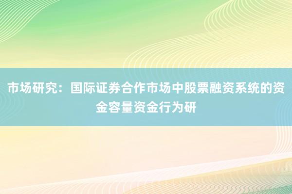 市场研究：国际证券合作市场中股票融资系统的资金容量资金行为研
