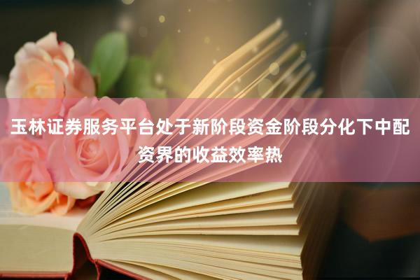 玉林证券服务平台处于新阶段资金阶段分化下中配资界的收益效率热