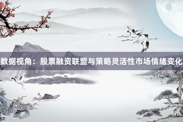 数据视角：股票融资联盟与策略灵活性市场情绪变化