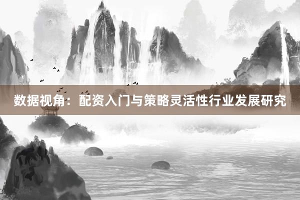 数据视角：配资入门与策略灵活性行业发展研究