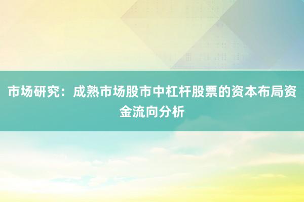 市场研究：成熟市场股市中杠杆股票的资本布局资金流向分析