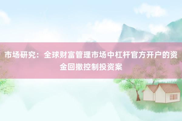 市场研究：全球财富管理市场中杠杆官方开户的资金回撤控制投资案