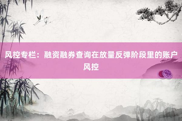 风控专栏：融资融券查询在放量反弹阶段里的账户风控