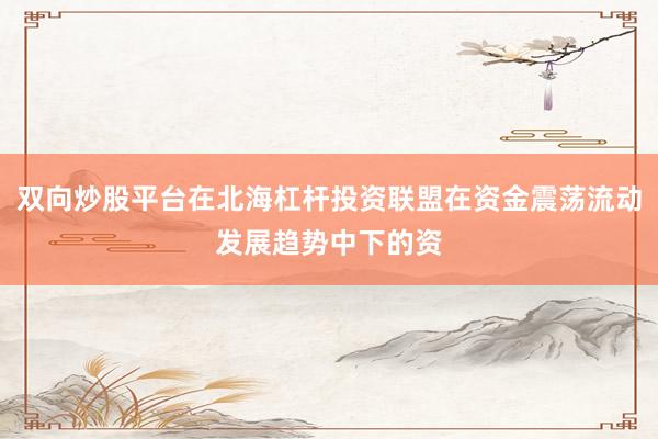 双向炒股平台在北海杠杆投资联盟在资金震荡流动发展趋势中下的资