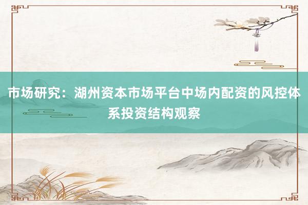 市场研究：湖州资本市场平台中场内配资的风控体系投资结构观察