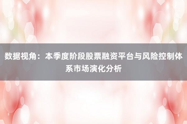 数据视角：本季度阶段股票融资平台与风险控制体系市场演化分析