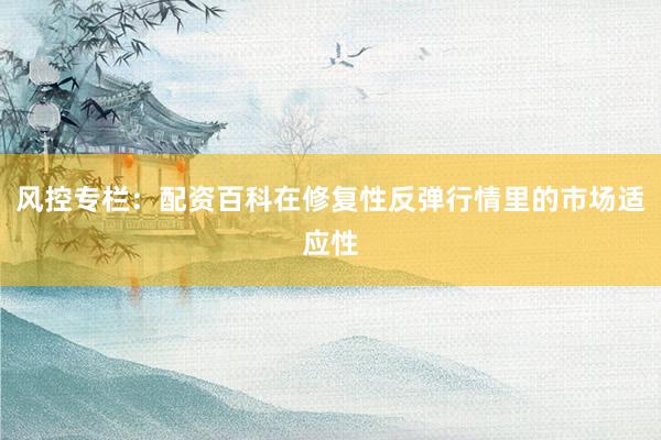 风控专栏：配资百科在修复性反弹行情里的市场适应性