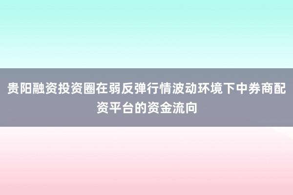 贵阳融资投资圈在弱反弹行情波动环境下中券商配资平台的资金流向