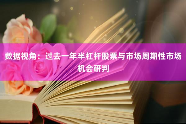 数据视角：过去一年半杠杆股票与市场周期性市场机会研判