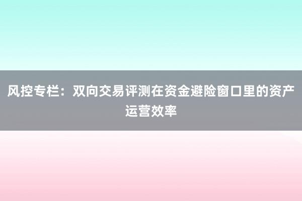 风控专栏：双向交易评测在资金避险窗口里的资产运营效率