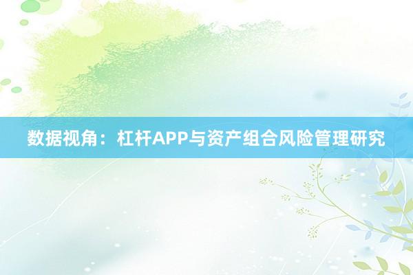 数据视角：杠杆APP与资产组合风险管理研究