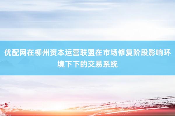 优配网在柳州资本运营联盟在市场修复阶段影响环境下下的交易系统
