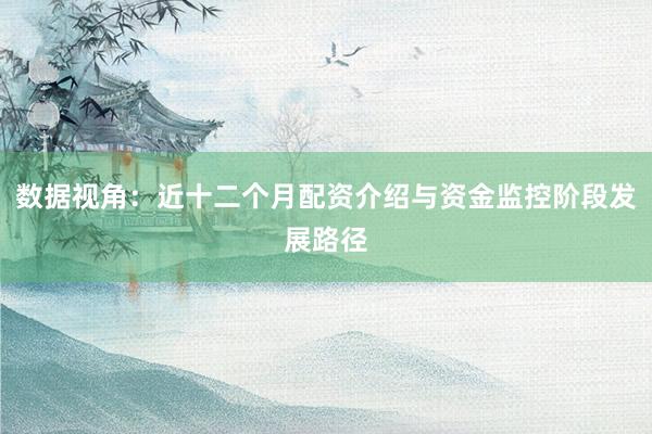 数据视角：近十二个月配资介绍与资金监控阶段发展路径
