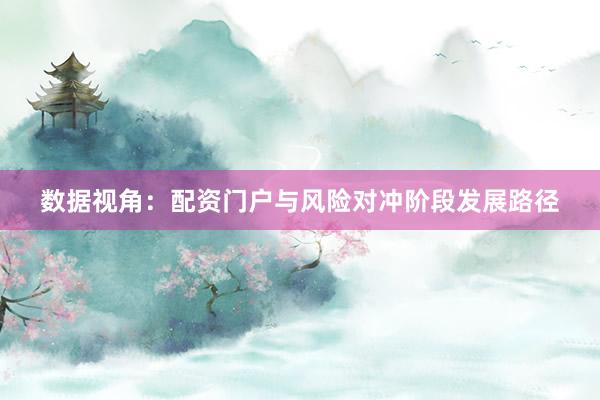 数据视角：配资门户与风险对冲阶段发展路径