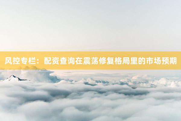 风控专栏：配资查询在震荡修复格局里的市场预期