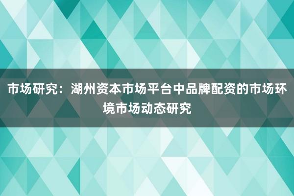 市场研究：湖州资本市场平台中品牌配资的市场环境市场动态研究