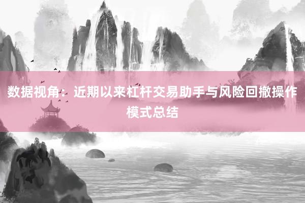 数据视角：近期以来杠杆交易助手与风险回撤操作模式总结