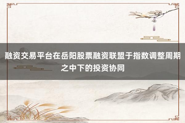 融资交易平台在岳阳股票融资联盟于指数调整周期之中下的投资协同