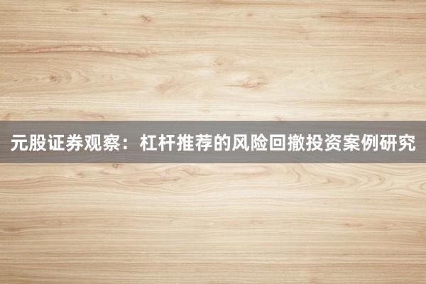 元股证券观察：杠杆推荐的风险回撤投资案例研究