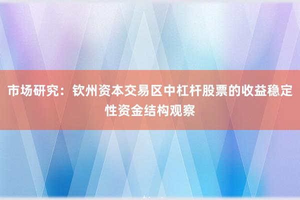 市场研究：钦州资本交易区中杠杆股票的收益稳定性资金结构观察
