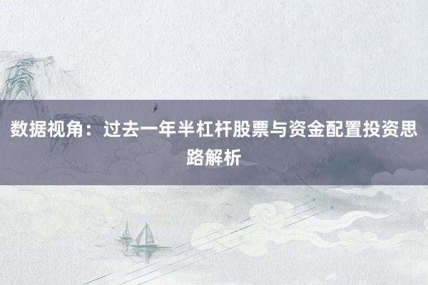 数据视角：过去一年半杠杆股票与资金配置投资思路解析