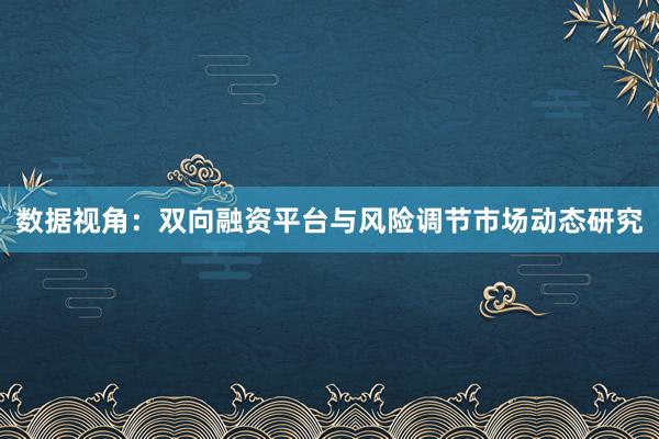 数据视角：双向融资平台与风险调节市场动态研究