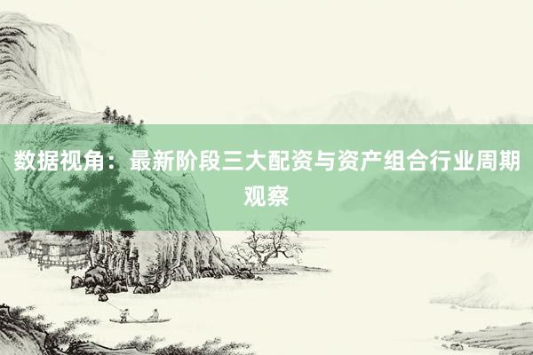 数据视角：最新阶段三大配资与资产组合行业周期观察