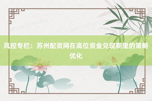 风控专栏：苏州配资网在高位资金兑现期里的策略优化