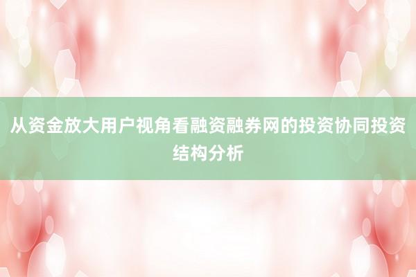 从资金放大用户视角看融资融券网的投资协同投资结构分析