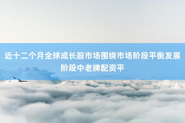 近十二个月全球成长股市场围绕市场阶段平衡发展阶段中老牌配资平